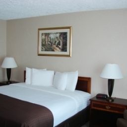 Room Holiday Inn CHICAGO SW-COUNTRYSIDE CONFCTR Fotos