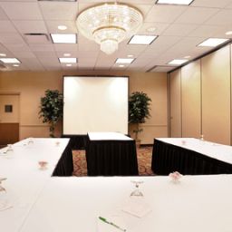 Sala congressi Holiday Inn Hotel & Suites CHICAGO-DOWNTOWN Fotos