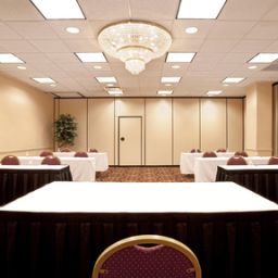 Sala congressi Holiday Inn Hotel & Suites CHICAGO-DOWNTOWN Fotos