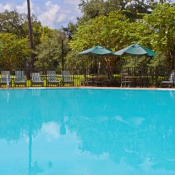 Basen Holiday Inn ORLANDO-UNIV OF CENTRAL FL. Fotos
