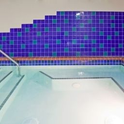 Pool Holiday Inn ST. PAUL DOWNTOWN Fotos