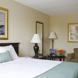 Zimmer Holiday Inn ST. PAUL DOWNTOWN Fotos