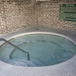 Pool Holiday Inn HISTORIC DISTRICT (MULBERRY) Fotos