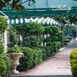  Holiday Inn HISTORIC DISTRICT (MULBERRY) Fotos