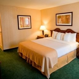 Suite Holiday Inn ARLINGTON AT BALLSTON Fotos