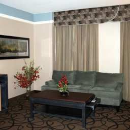 Suite Hampton Inn  Suites BuffaloDowntown Fotos