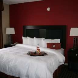 Suite Hampton Inn  Suites Houston Clear LakeNASA Fotos