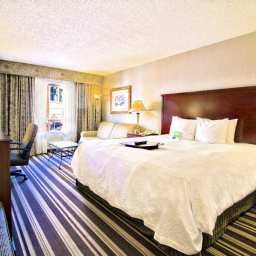 Habitación Hampton Inn Stes MEM at Beale Fotos