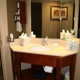 Camera Hampton Inn PittsburghMcKnight Rd Fotos
