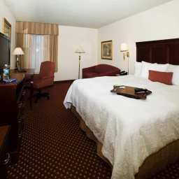 Chambre Hampton Inn SavannahI95North Fotos