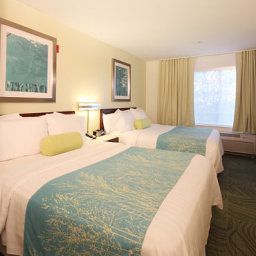 Room SpringHill Suites Phoenix Chandler/Fashion Center Fotos
