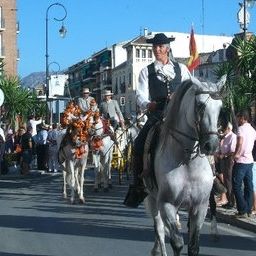 Окрестности Colón Hostal Fotos