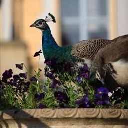  Schloss & Gut Liebenberg Fotos