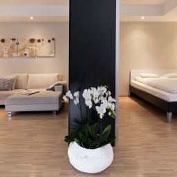 Suite Limmathof Baden Fotos