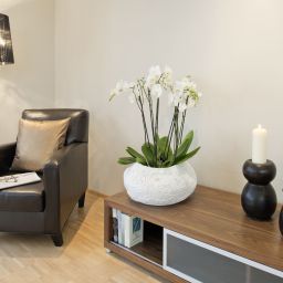 Suite Limmathof Baden Fotos