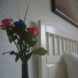  Alka Fotos