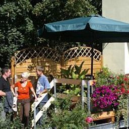 Terrasse Mandy Fotos