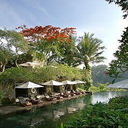 Piscine Maya Ubud Resort & Spa Fotos
