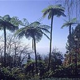 Ogród Quinta do Monte Fotos