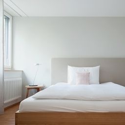  Greulich Fotos