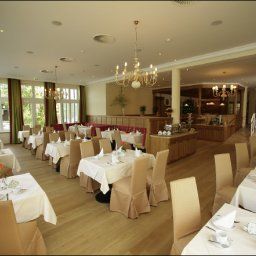  Seerose Fotos