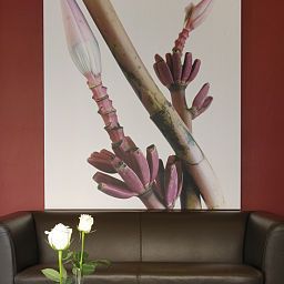 Hall Executive Forli Fotos