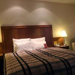 Room Crowne Plaza BRUSSELS AIRPORT Fotos