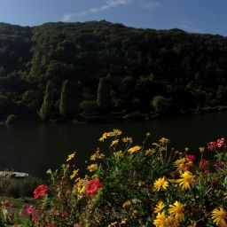 Vue St. Georg Fotos