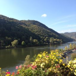 Vue St. Georg Fotos