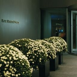 Park Hyatt Zurich Zurich