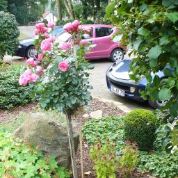 Jardin Lindenau Fotos