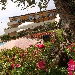 Ogród Le Terrazze sul Lago Residence Hotel Fotos
