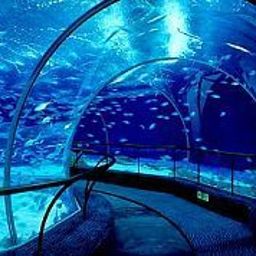 JW Marriott Hotel Shanghai at Tomorrow Square Fotos