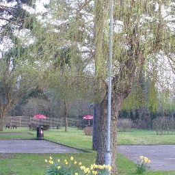 Garten Ramada Hatfield Fotos