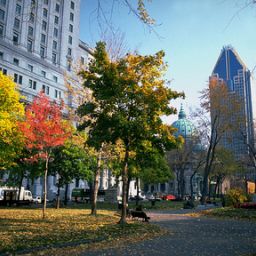  Residence Inn Montreal Westmount Fotos