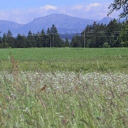 Jardín Bergblick Gästehaus Fotos