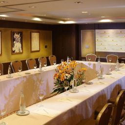 Sala konferencyjna Gran Meliá Don Pepe Fotos