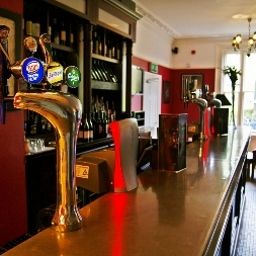 Bar Lime Trees Fotos