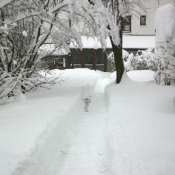 Jardin Zum Reschen Fotos