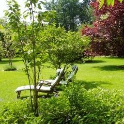 Jardin Meinsbur Fotos