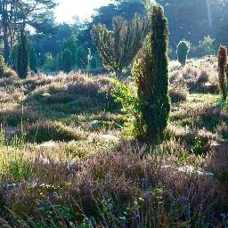 Environnement Meinsbur Fotos