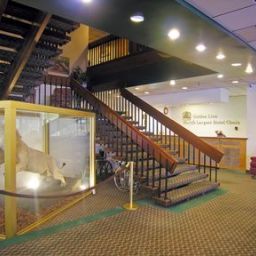 Hall BEST WESTERN Golden Lion Hotel Fotos