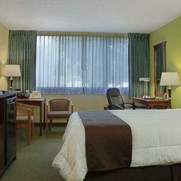 Camera BEST WESTERN Hollywood/Aventura Fotos