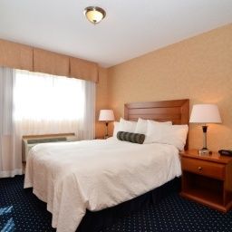 Room BEST WESTERN PLUS Langley Inn Fotos