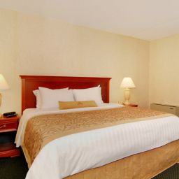 Habitación BEST WESTERN PLUS Brampton Fotos