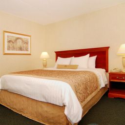 Habitación BEST WESTERN PLUS Brampton Fotos