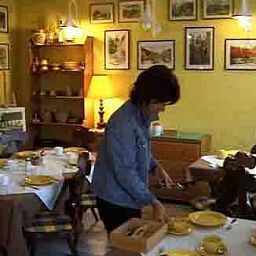 Salle du petit-déjeuner Menthol Fotos
