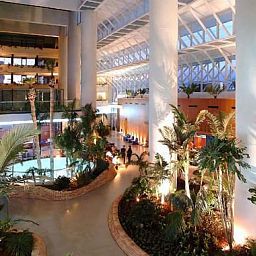 Hall Meliá Benidorm Fotos
