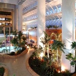 Meliá Benidorm Fotos