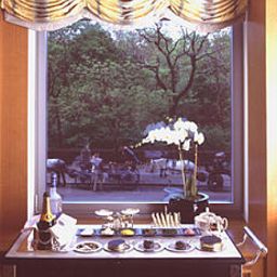  Central Park The Ritz-Carlton New York Fotos
